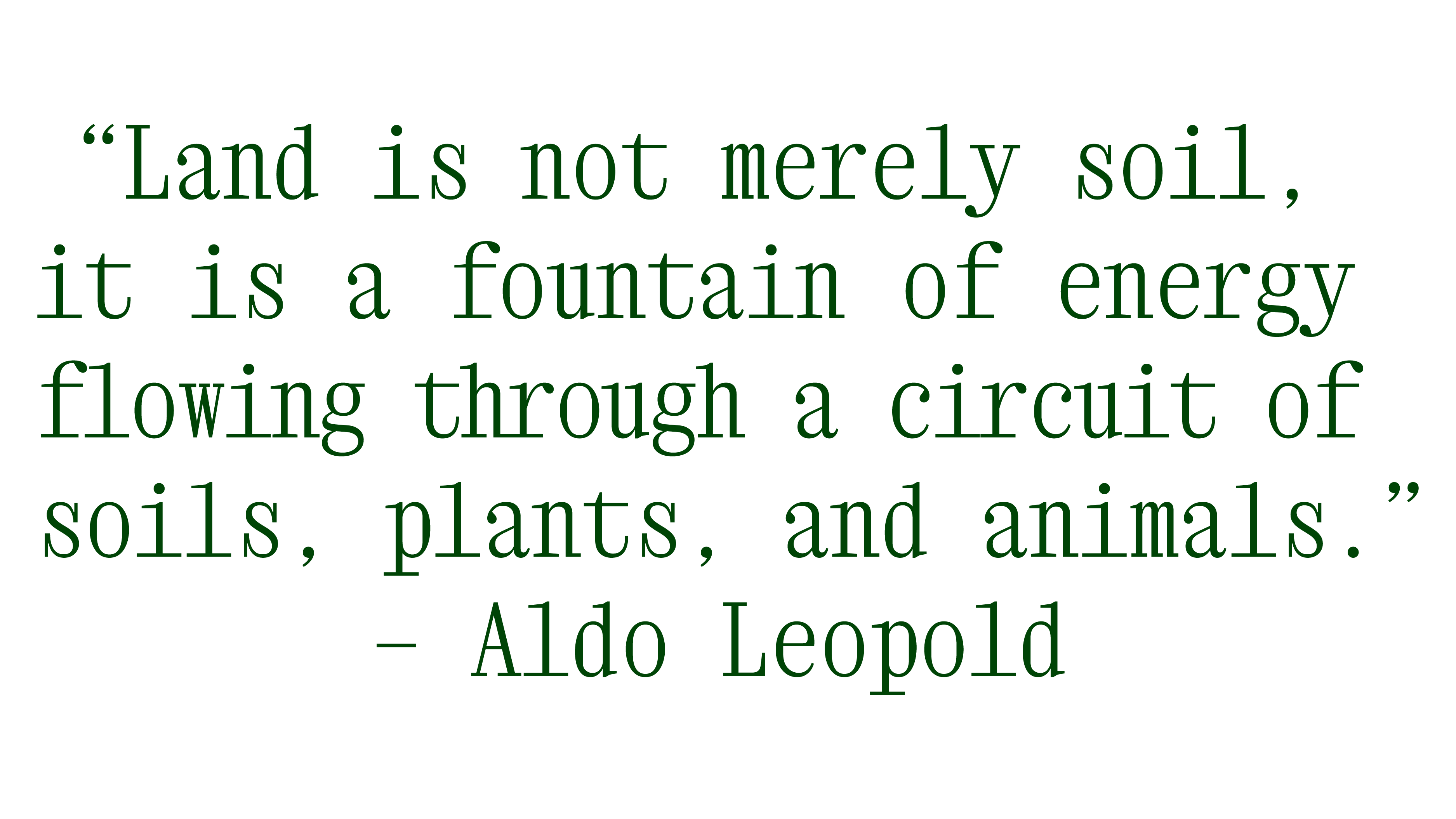 Quote Image